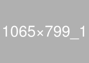 1065x799_1